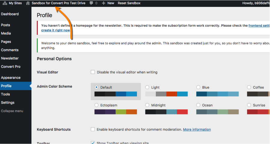 Setting Up the Convert Pro Sandbox 3