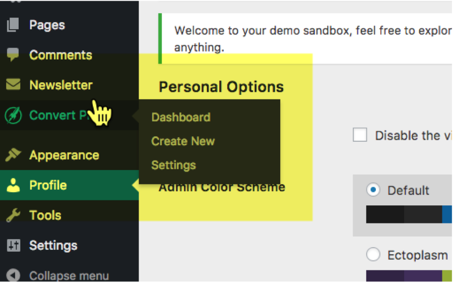 Setting Up the Convert Pro Sandbox 4